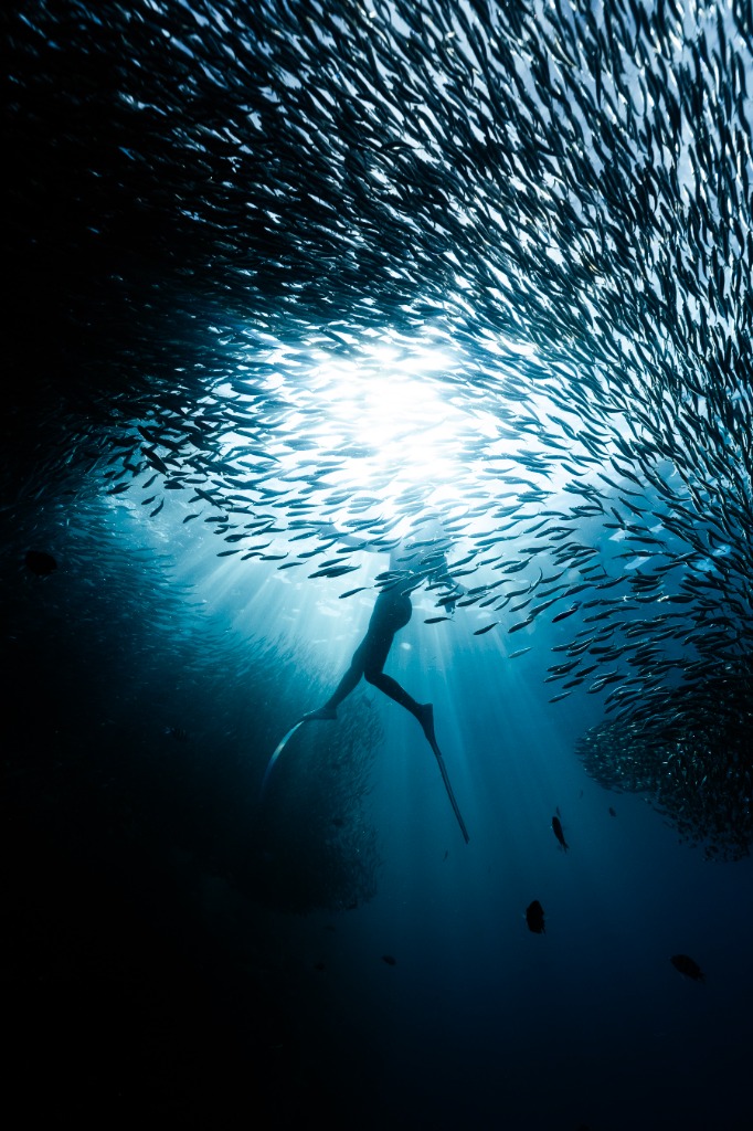 Professional Photographer